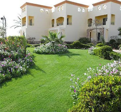 Blue Reef Red Sea Marsa Alam